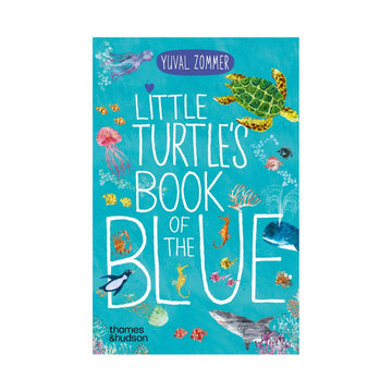 Little Turtle's Book Of The Blue | Yuval Zommer