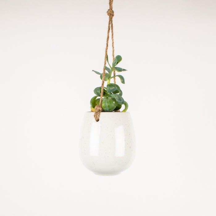 hanging planter nz Ceramic Hanging Planter – Fairplay