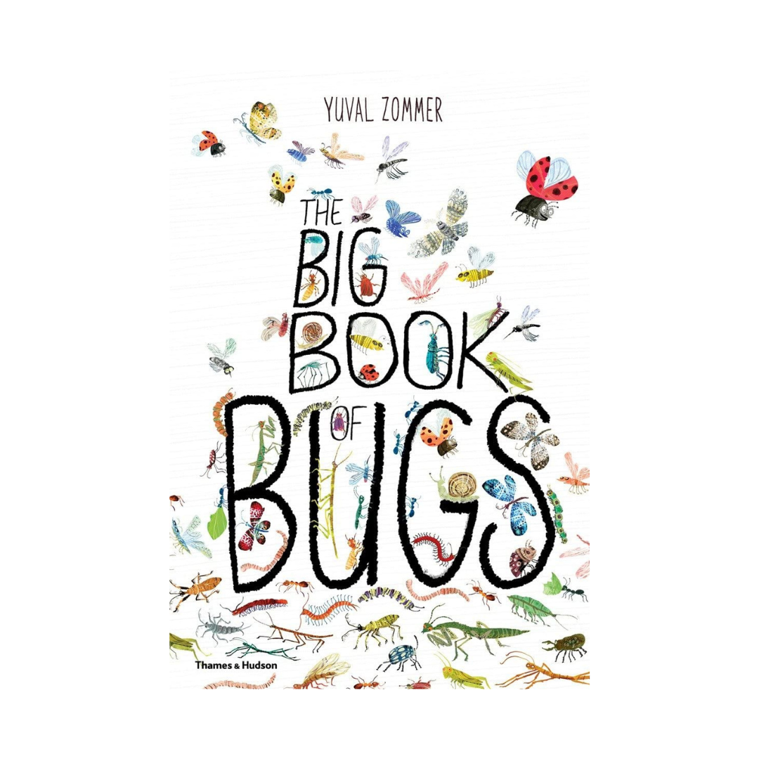 The Big Book of Bugs 他7冊セット Amazon | The Big Book of Bugs | Zommer, Yuval | Diseases