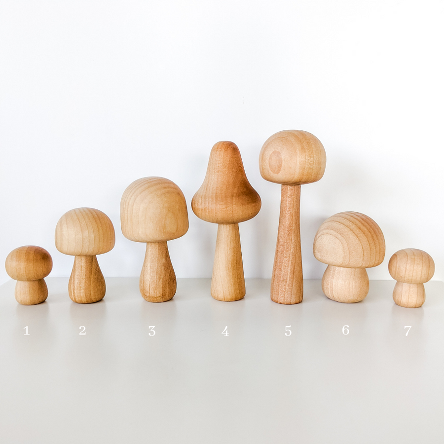 Wooden Mushroom Forest