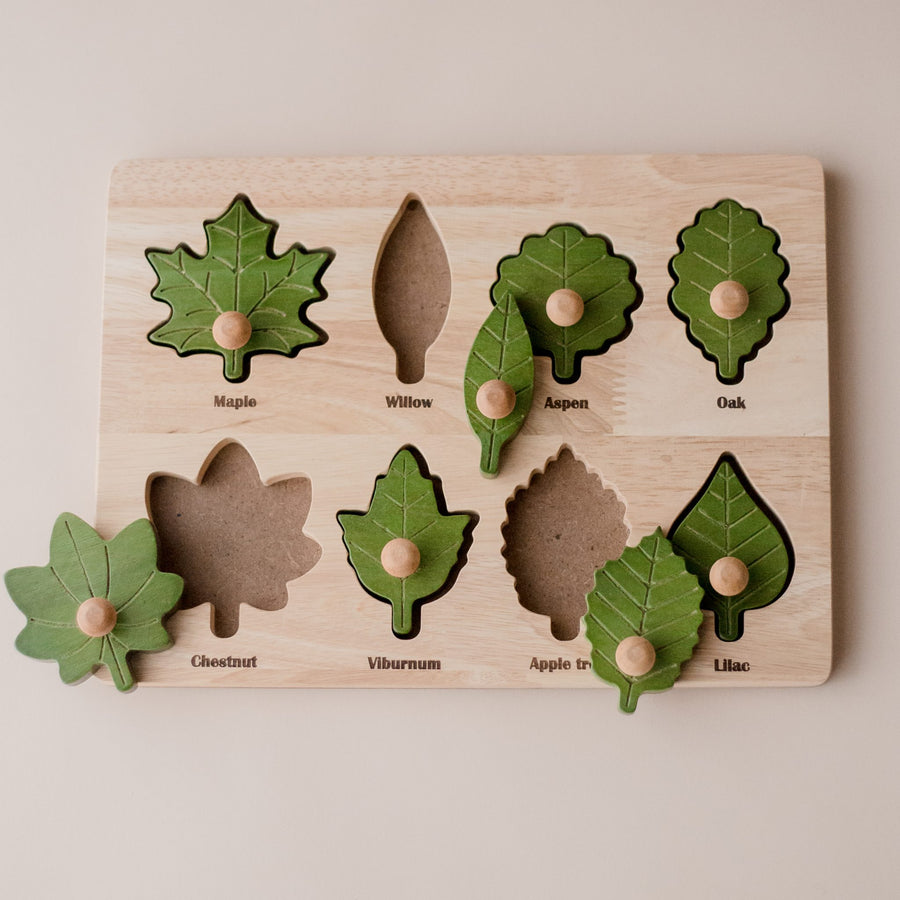 Qtoys | Montessori Wooden Leaf Puzzle