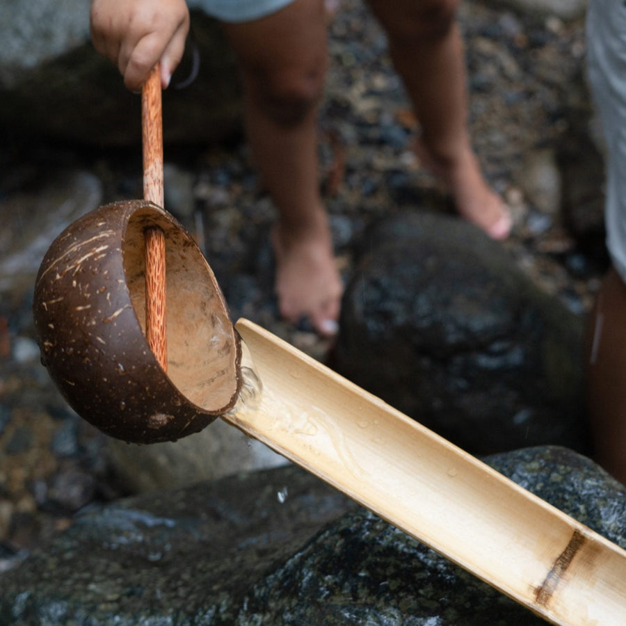 Qtoys | Coconut Water Scoop