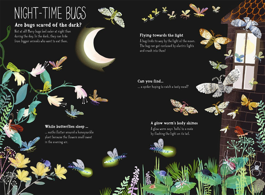 The Big Book of Bugs | Yuval Zommer