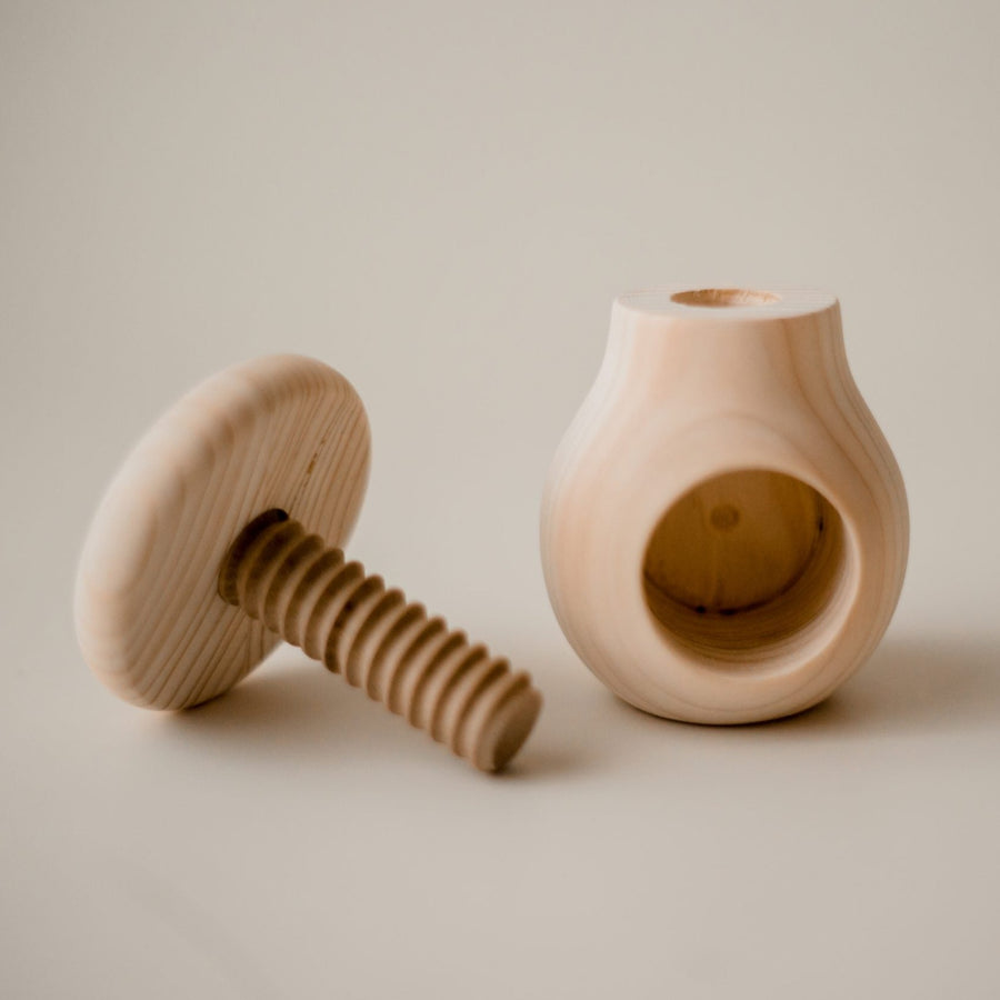 Montessori toy mushroom screw wooden toy 
