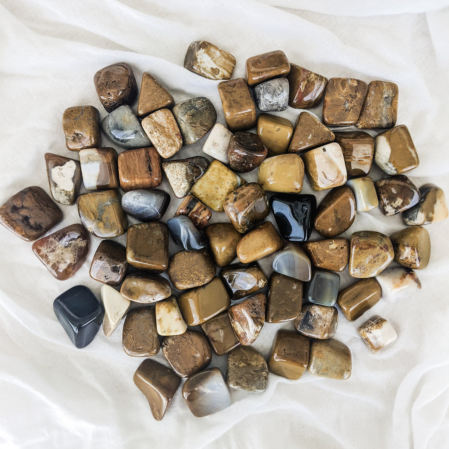 Natural Treasures - Large Polished Stones
