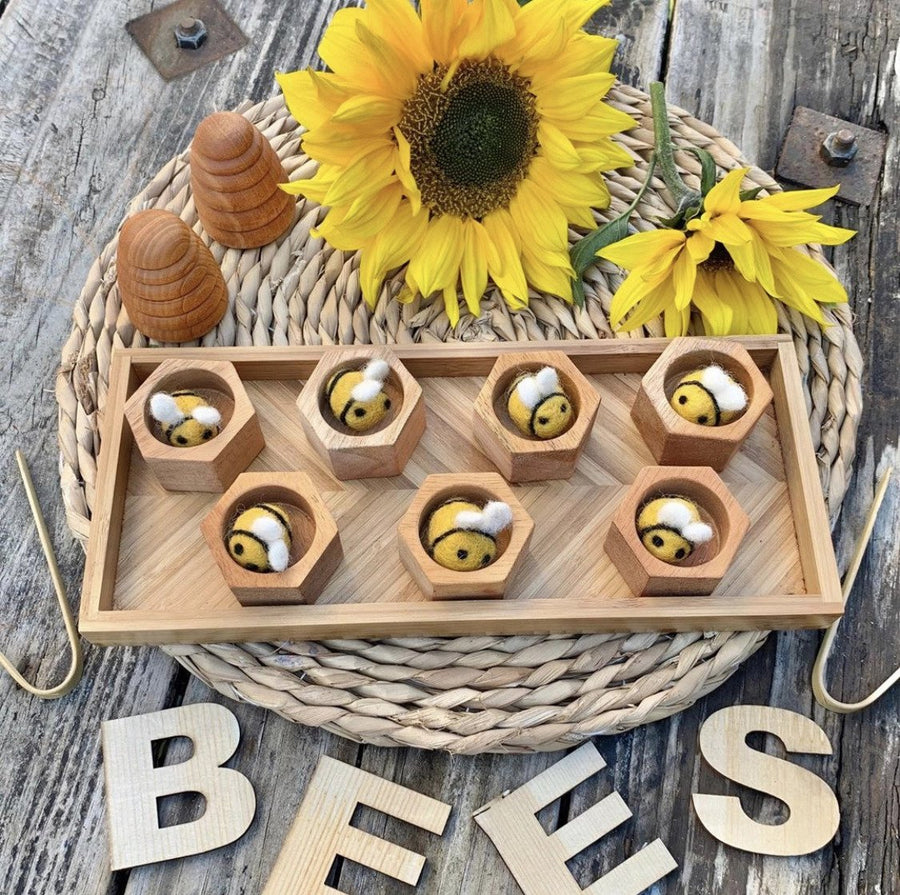 Natural Wooden Honeycomb Beehive Set