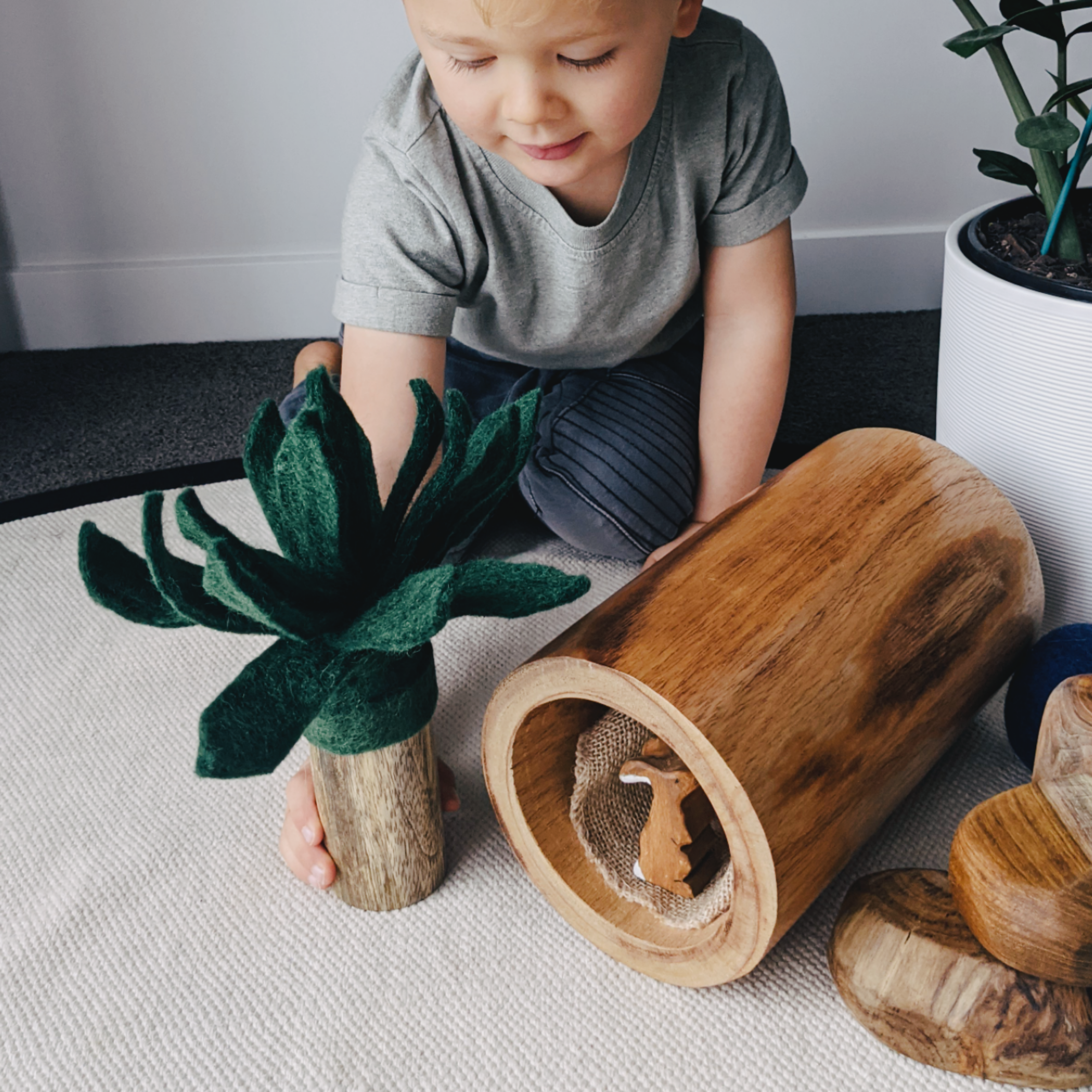 Palm Trees – Fairplay