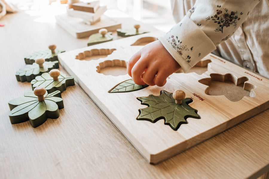 Qtoys | Montessori Wooden Leaf Puzzle