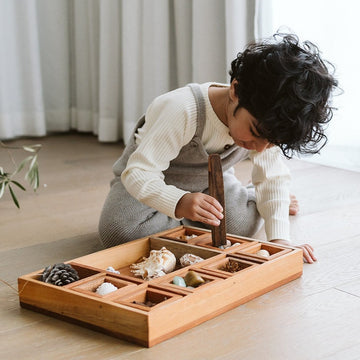 Wooden Classification Tray with Tongs