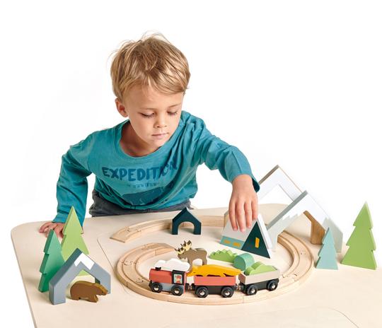 Tender Leaf Toys | Treetops Train Set