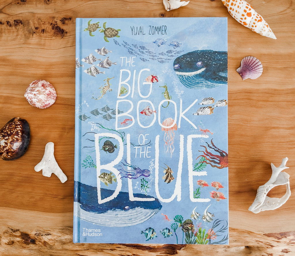 A Review of Yuval Zommer's 'Big Book' Series