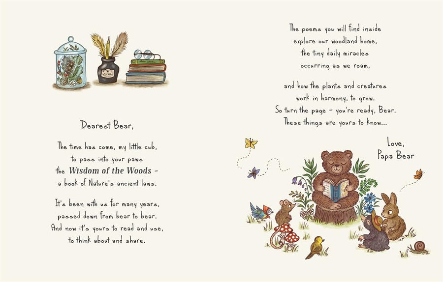 Brown Bear Wood | Wisdom of the Woods - 40 Poems to Treasure