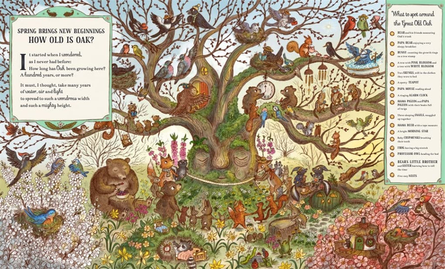 Brown Bear Wood | Grand Old Oak and the Birthday Ball - Search and Find Book