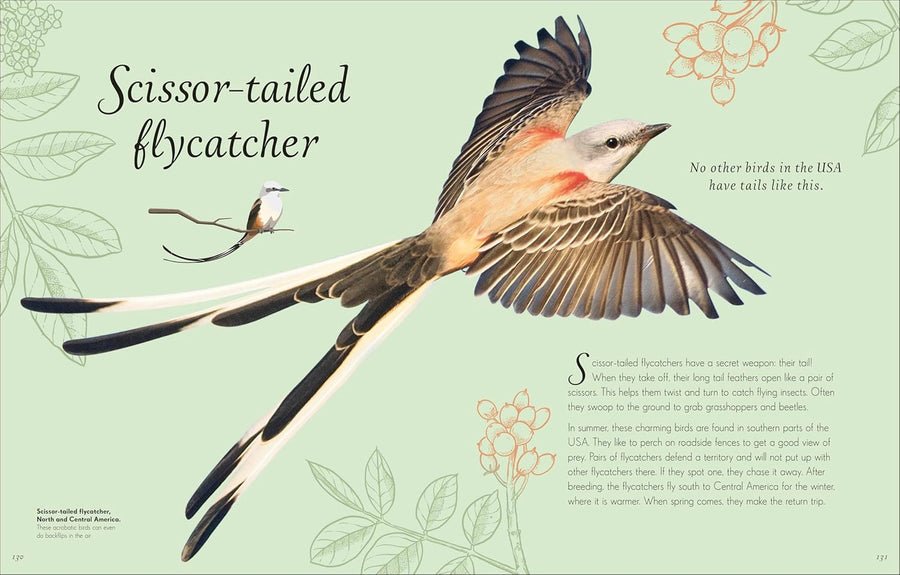 Anthology of Exquisite Birds | Ben Hoare