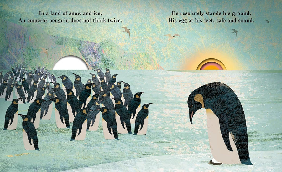 Family | Britta Teckentrup