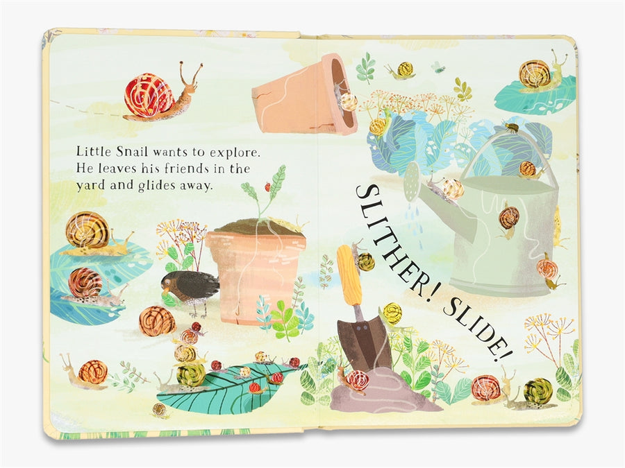 Little Snail's Book of Bugs | Yuval Zommer