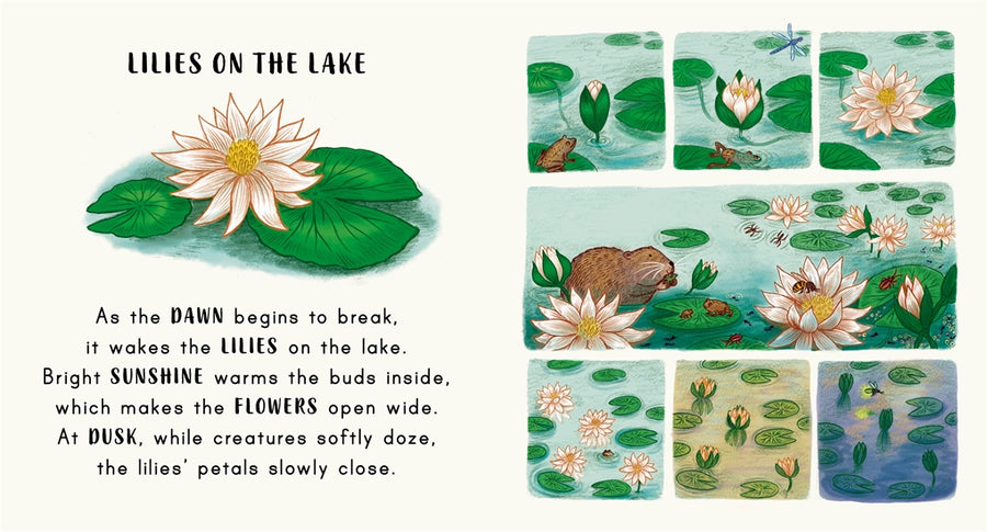 Slow Down ...In The Park | Nature Stories for Little Ones