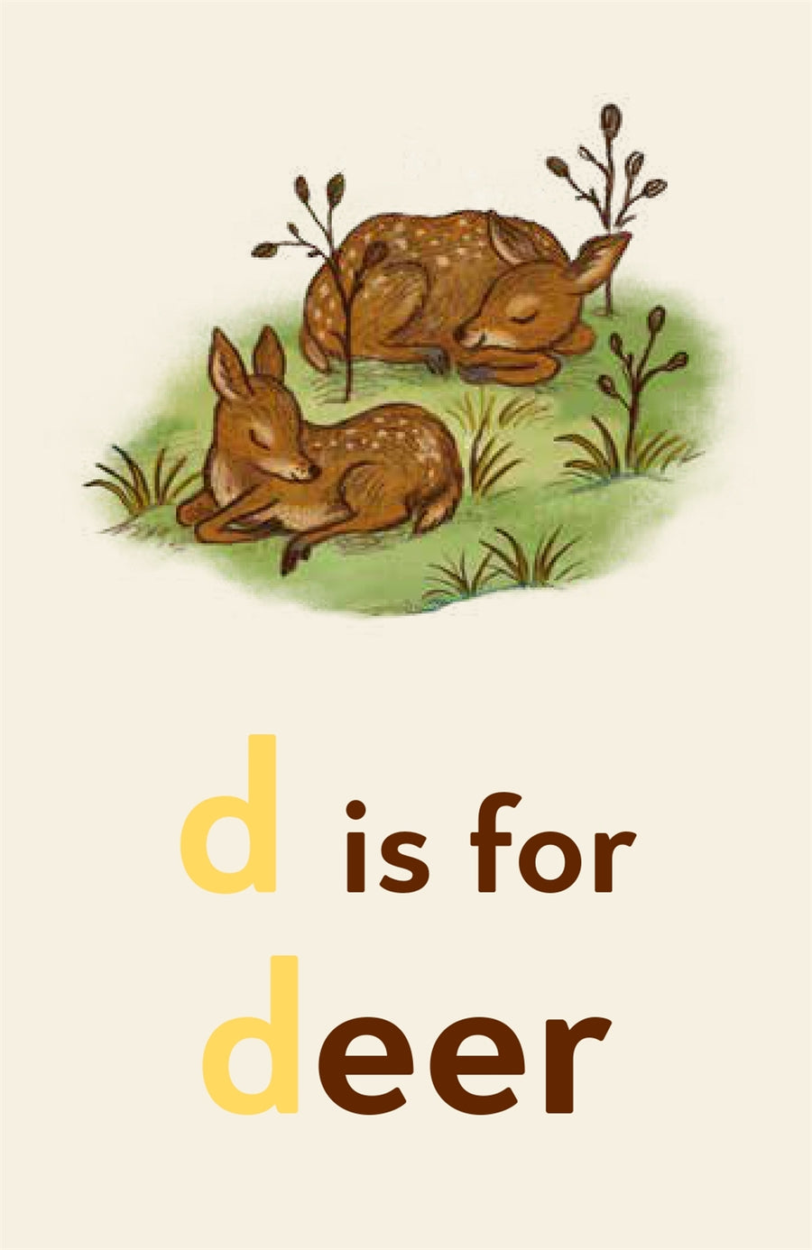 Brown Bear Wood | Let's Learn Our ABCs Flash Cards