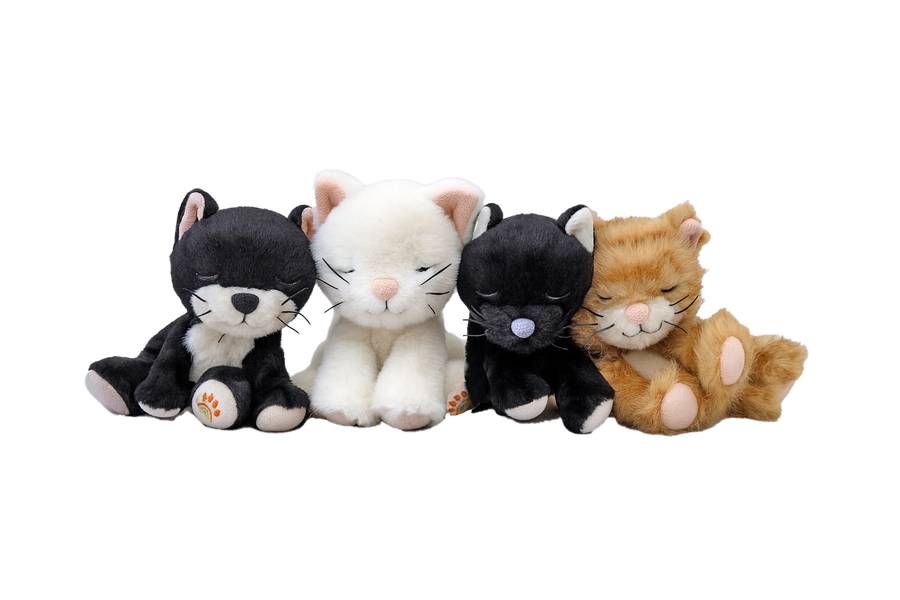 Olli Ella Binky Kitten | Kit (black & white)