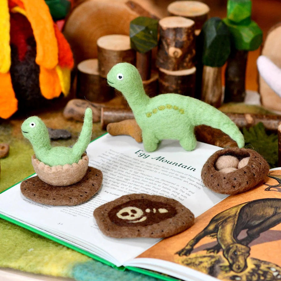 Tara Treasures | Felt Life Cycle of a Dinosaur