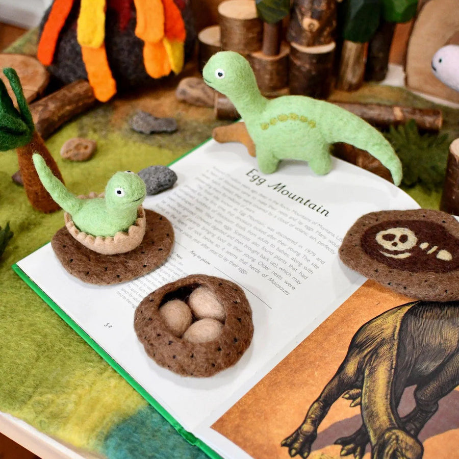 Tara Treasures | Felt Life Cycle of a Dinosaur