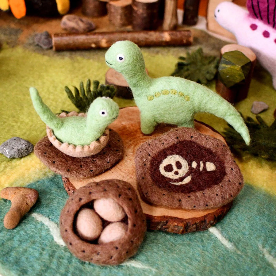 Tara Treasures Felt Life Cycle of a Dinosaur – Fairplay