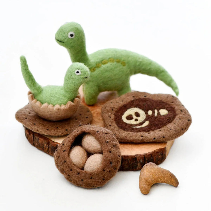 Tara Treasures | Felt Life Cycle of a Dinosaur