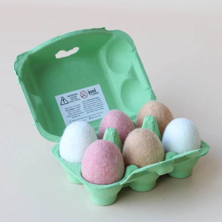 Felt Food | Eggs in Carton