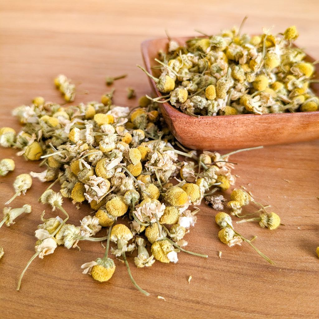 dried chamomile flowers