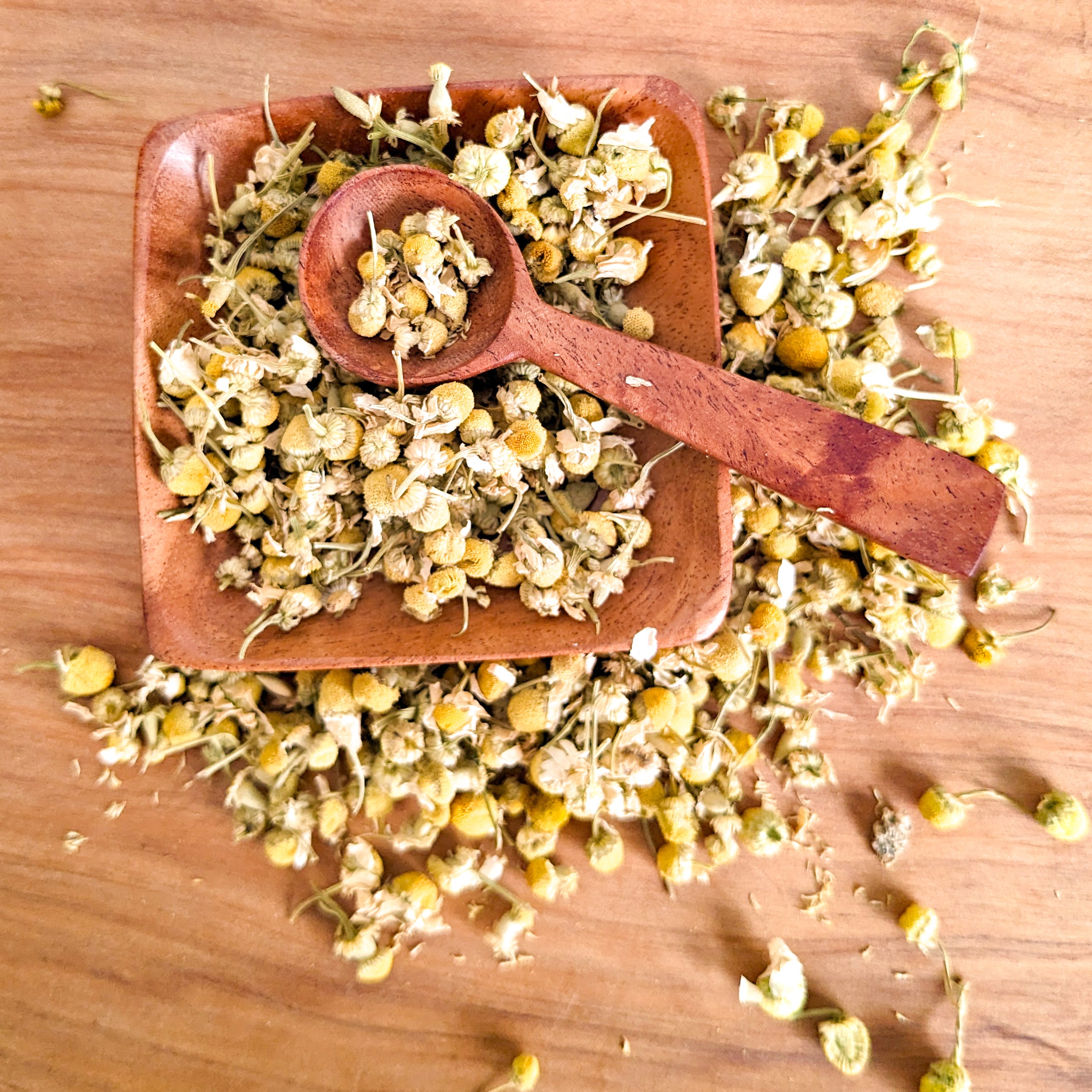 Natural Treasures Flower Confetti Chamomile Flowers Fairplay