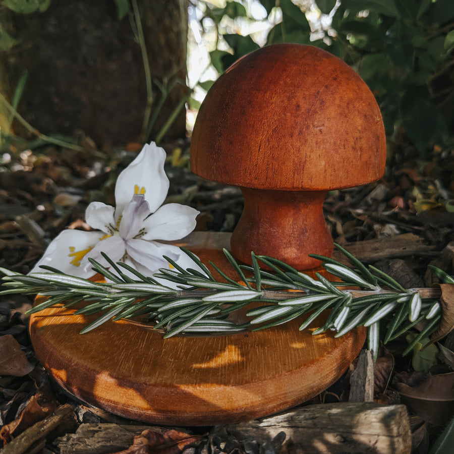 Wooden Mortar and Pestle - Mushroom