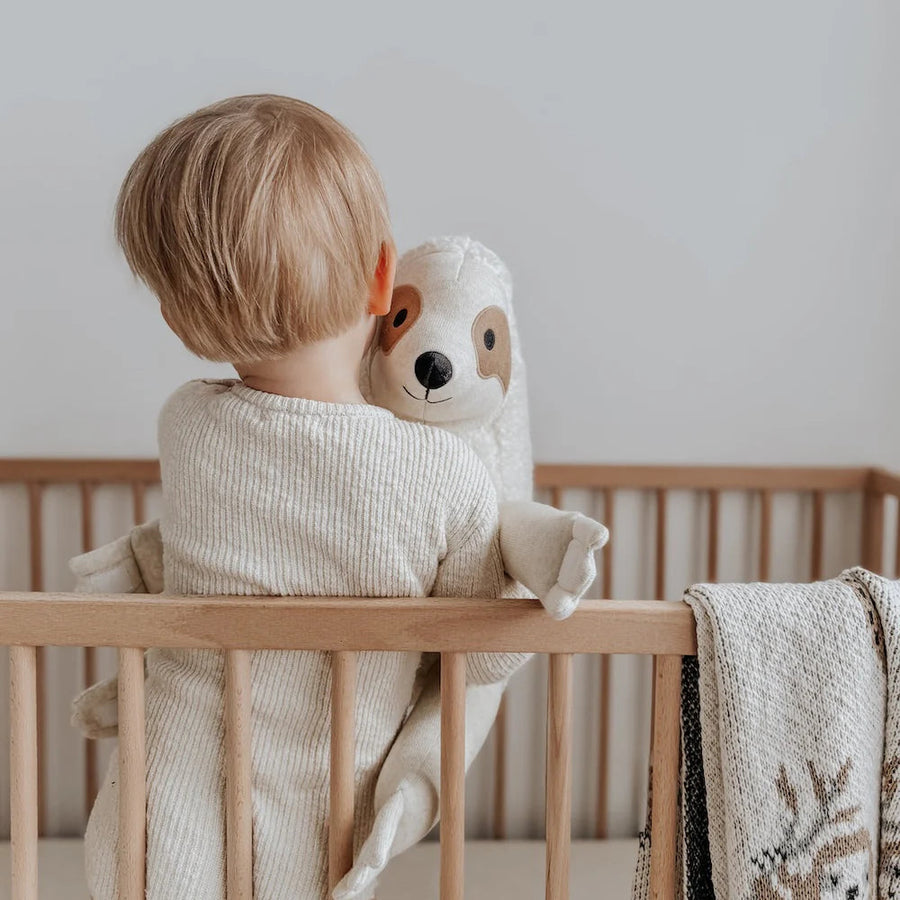 Otis the Clinging Sloth Soft Toy