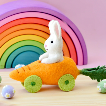 Easter Bunny Rabbit in a Carrot Car