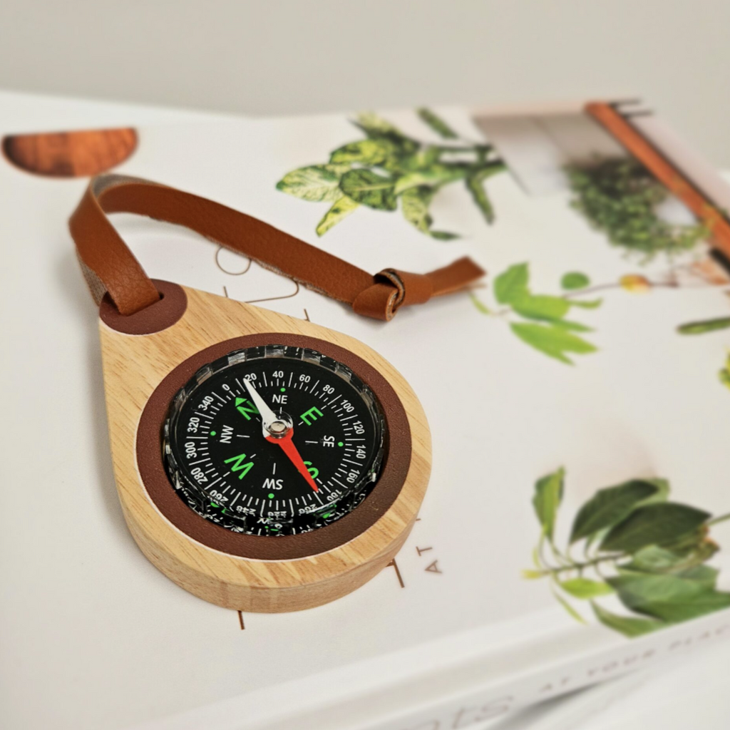 Qtoys | Wooden Compass