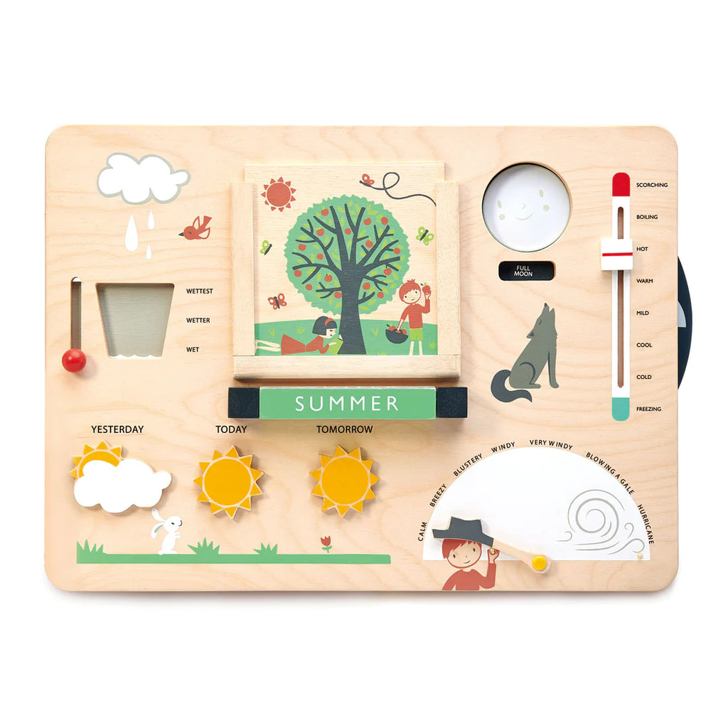 Tender Leaf Toys | Weather Watch Station