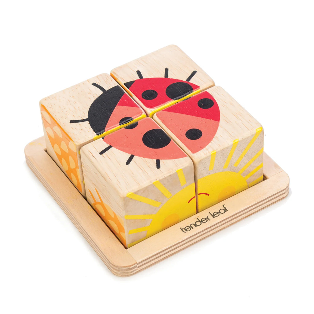 Tender Leaf Toys | Baby Blocks