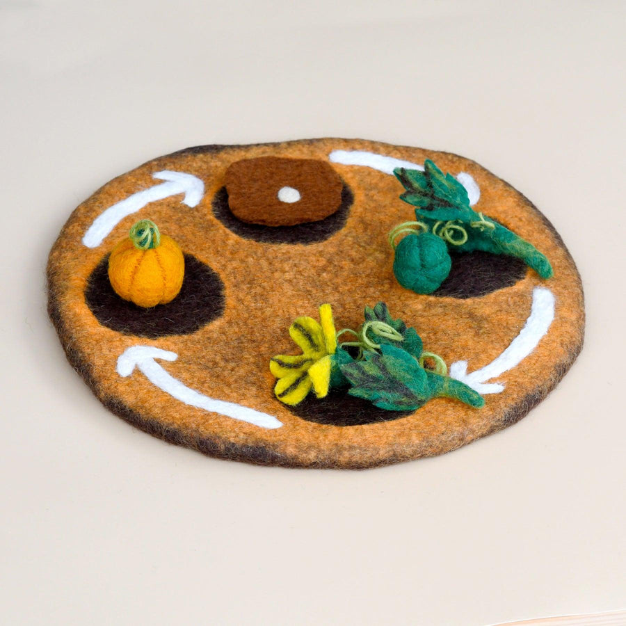 Felt Life Cycle of a Pumpkin