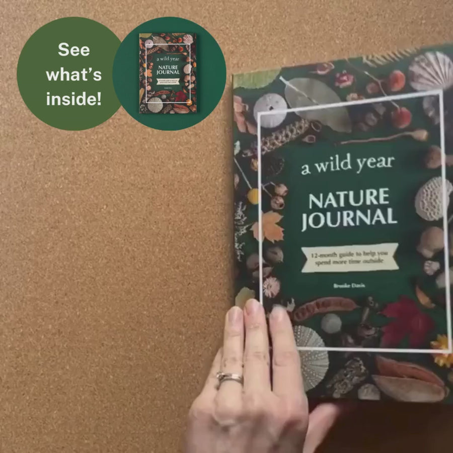 Your Wild Books | A Wild Year - Nature Journal