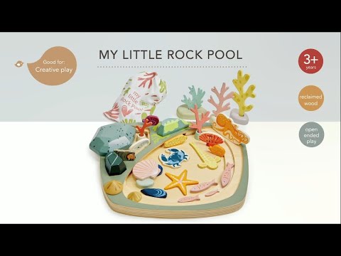 Tender Leaf Toys | My Little Rock Pool