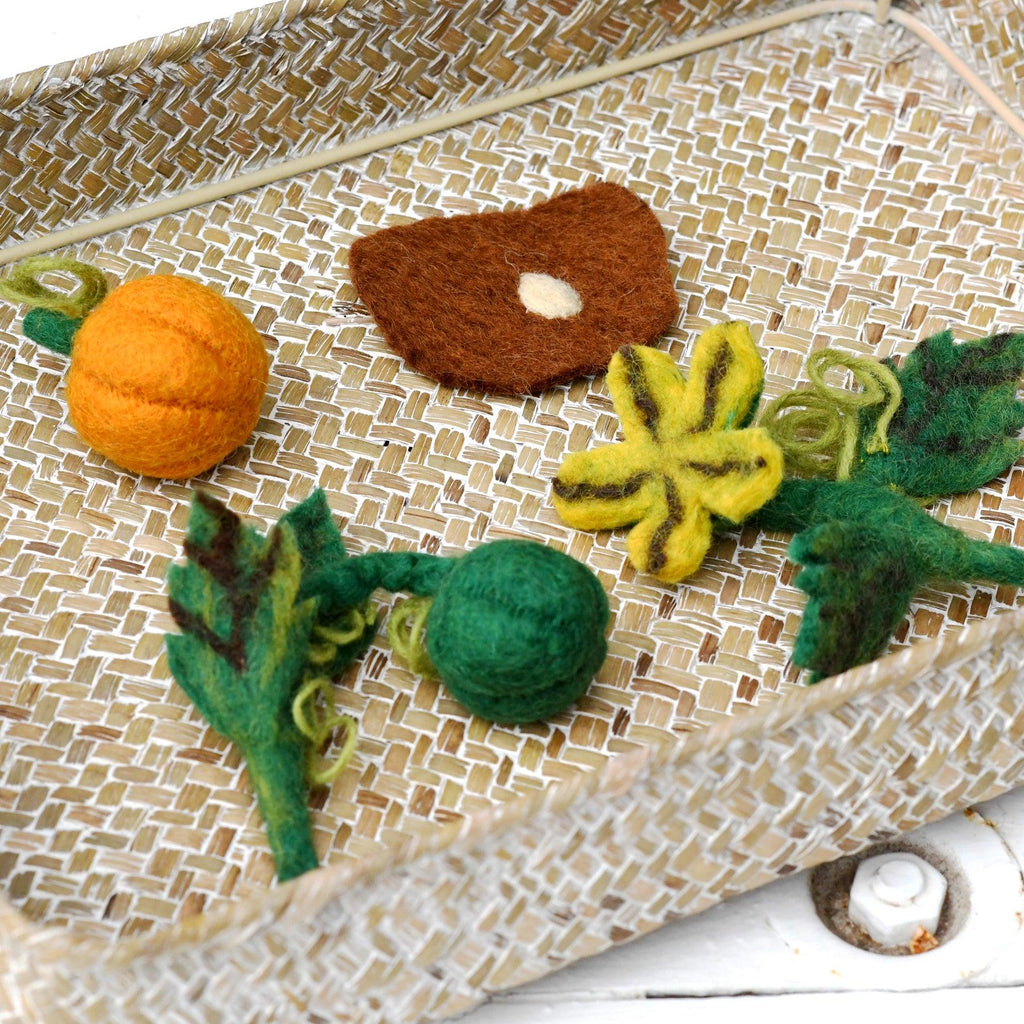 Tara Treasures | Felt Life Cycle of a Pumpkin