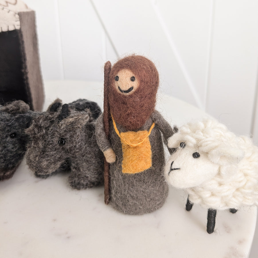 Felt Christmas Nativity Set (Coloured)