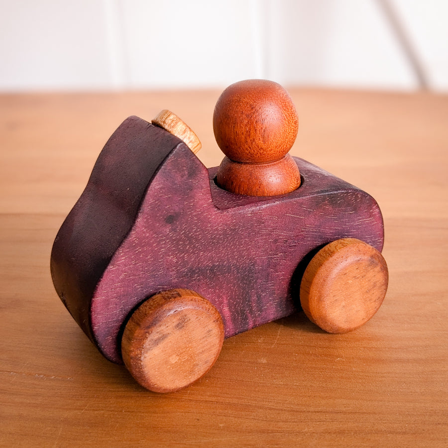 Rainbow Wooden Cars with Peg Dolls