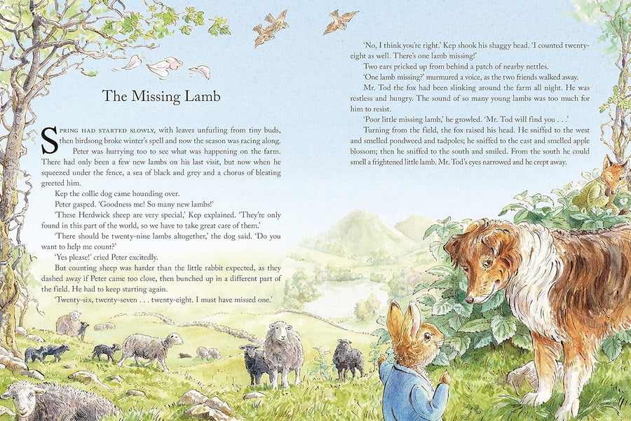 Peter Rabbit: Tales From The Countryside | Beatrix Potter