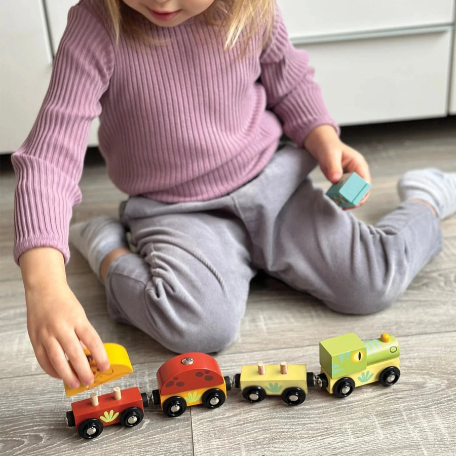 Mentari Toys | Wooden Dinosaur Train Set