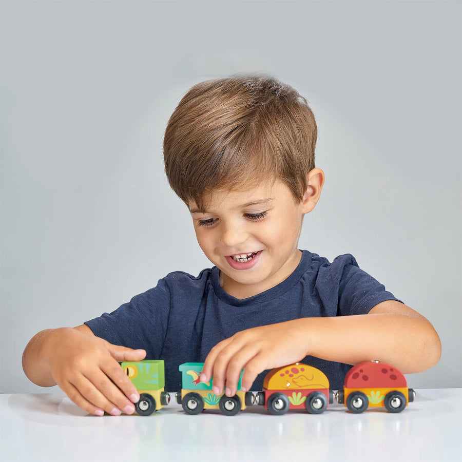 Mentari Toys | Wooden Dinosaur Train Set