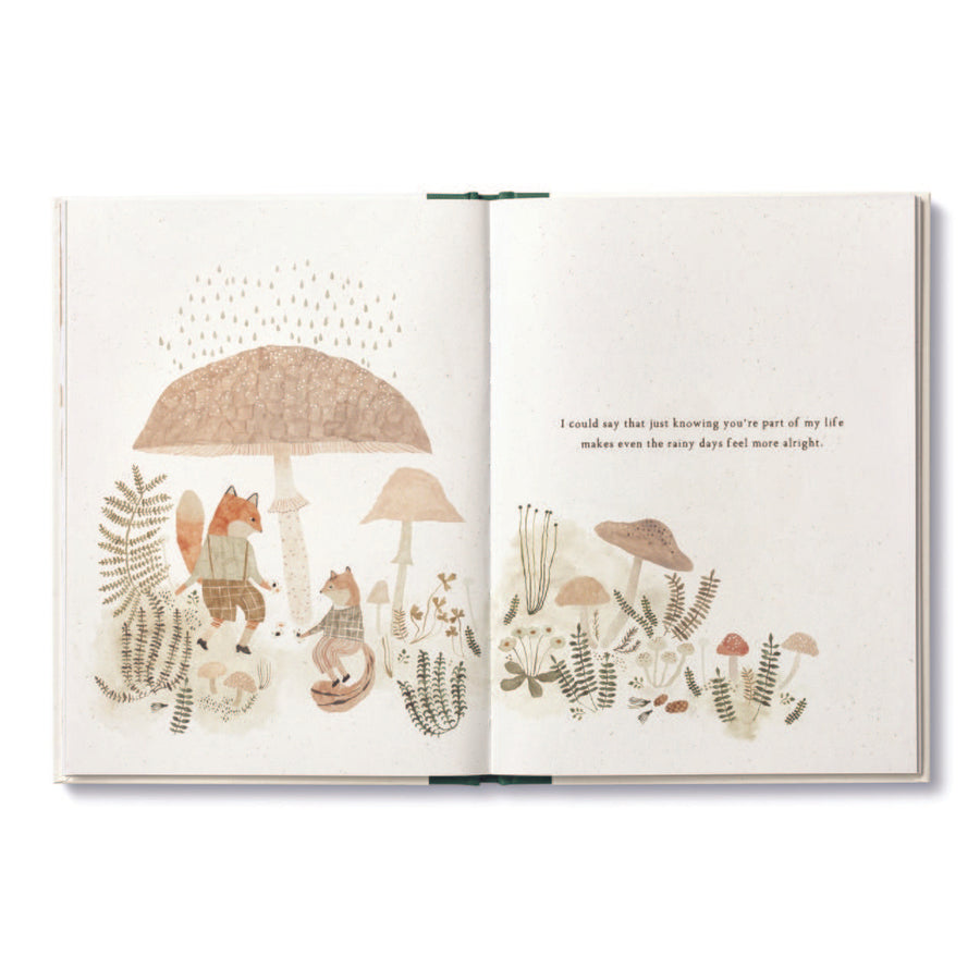 More Than A Little children's book. by M. H. Clark and Cécile Metzger. 