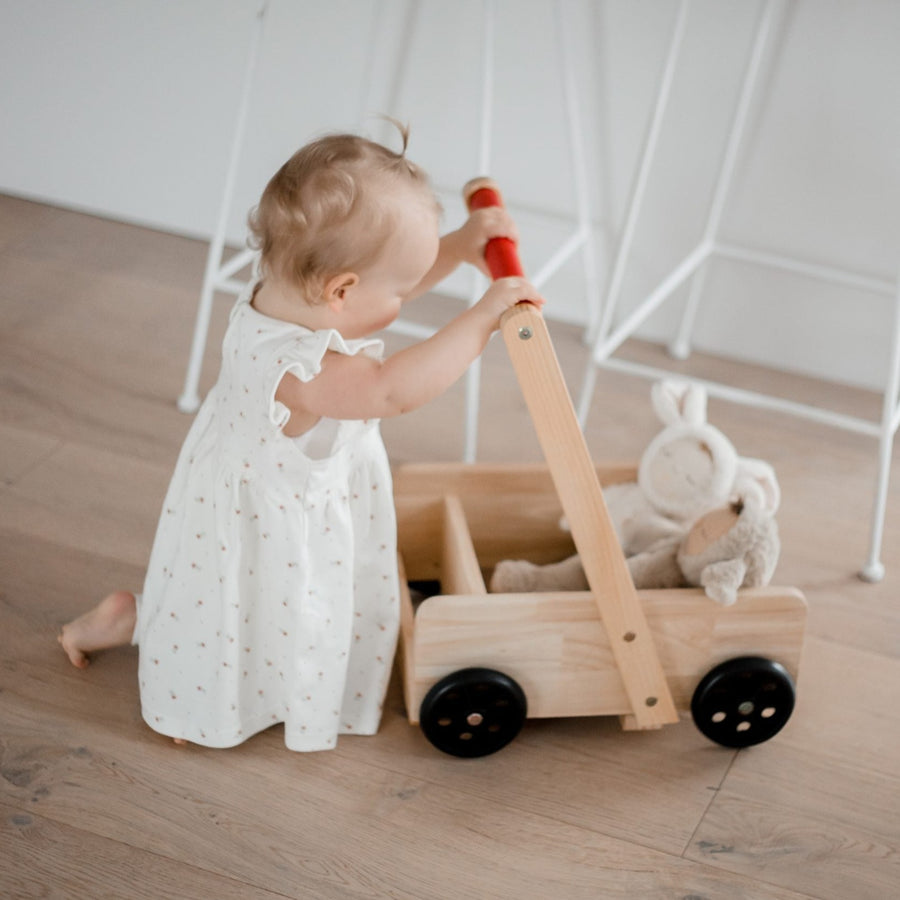 Qtoys Natural Wooden Trolley Walker – Fairplay