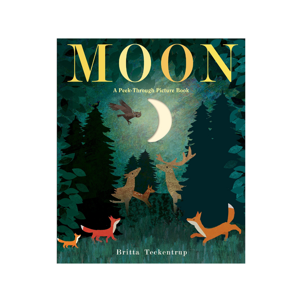 Moon - Night Time Around the World | Britta Teckentrup
