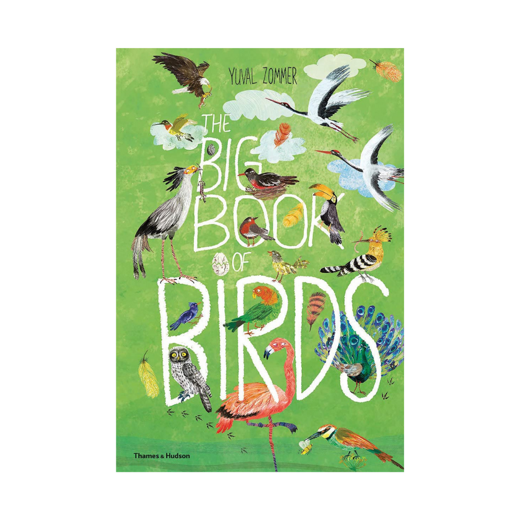 The Big Book of Birds | Yuval Zommer