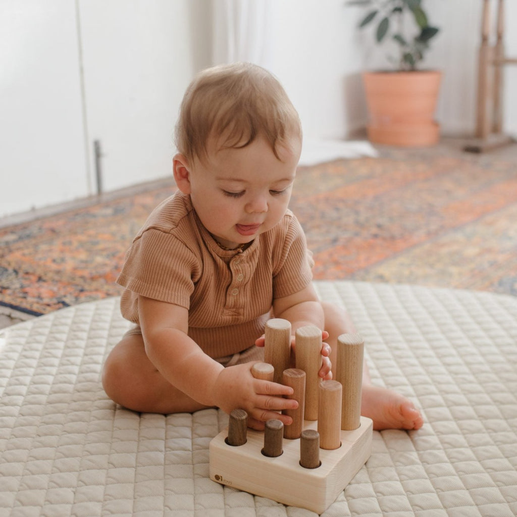 Montessori toys Nine Pole Puzzle set